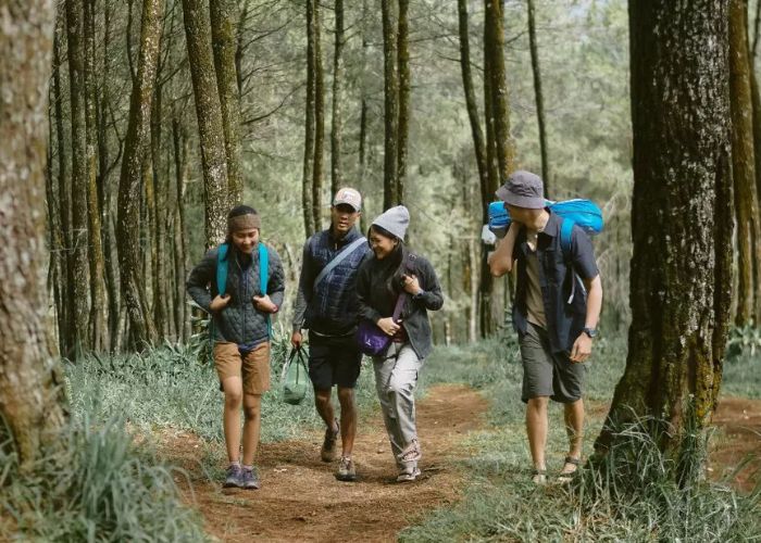 Keindahan Hutan Tropis: Flora, Fauna, dan Petualangan Trekking yang Menakjubkan